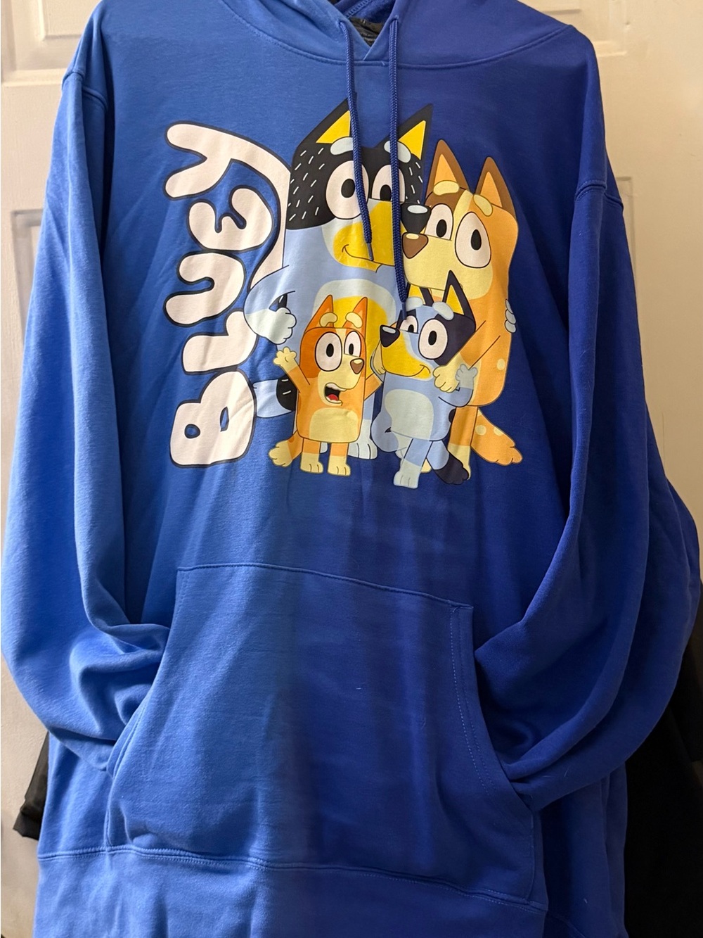 Men’s bluey hoodie